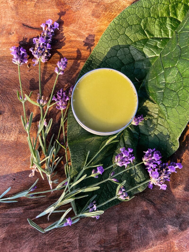 herbal salve on comfrey and lavender